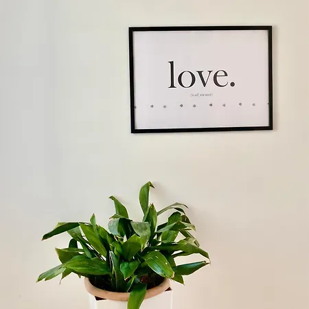 Lovely Rooftop * Golem (Tirana)