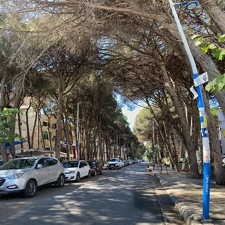 Apartman Lovely Rooftop